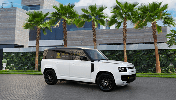 Range Rover Defender V6